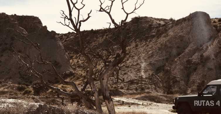 Almería: Tour en 4x4 por el desierto de Tabernas