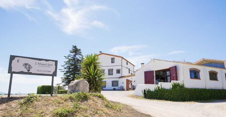 Vilafranca del Penedès: Visita a bodega con degustaciones