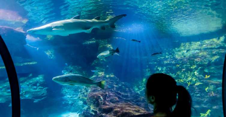Aquarium de Barcelona: ticket de entrada sin hacer cola
