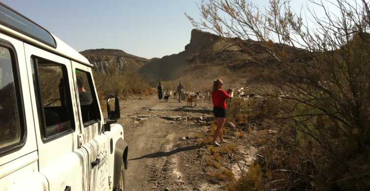 Aventura 4x4 en el desierto de Tabernas