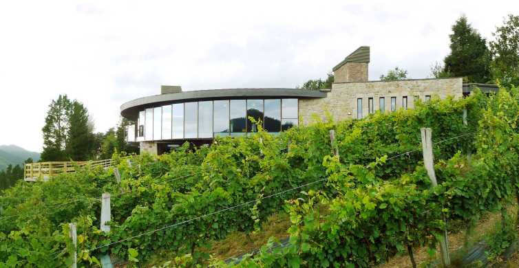 Bilbao: visita a bodega ecológica con degustación