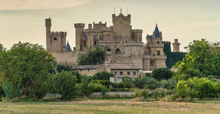 Desde Bilbao: tour guiado al Palacio de Olite y Pamplona