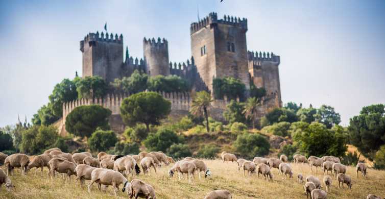 Córdoba: entrada al castillo de Almódovar