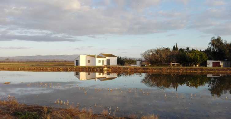 Delta del Ebro: Tour guiado por el Delta Norte con un local