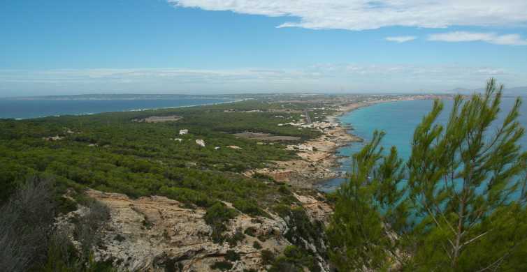 Desde Ibiza: excursión guiada a Formentera