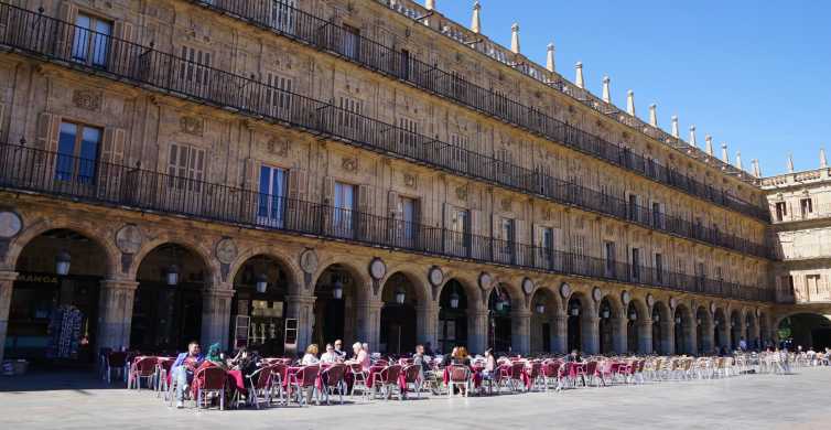 Desde Madrid: excursión de un día a Salamanca con tour privado