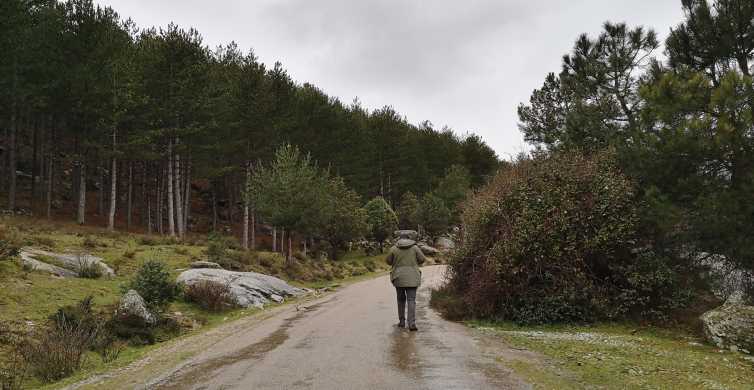 Desde Madrid: excursión de un día al Parque Nacional Guadarrama