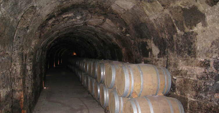 Desde Madrid: tour de 3 bodegas en la Ribera del Duero