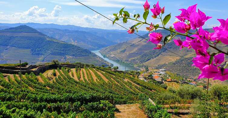 Oporto: valle del Duero con cata de vino, almuerzo y crucero