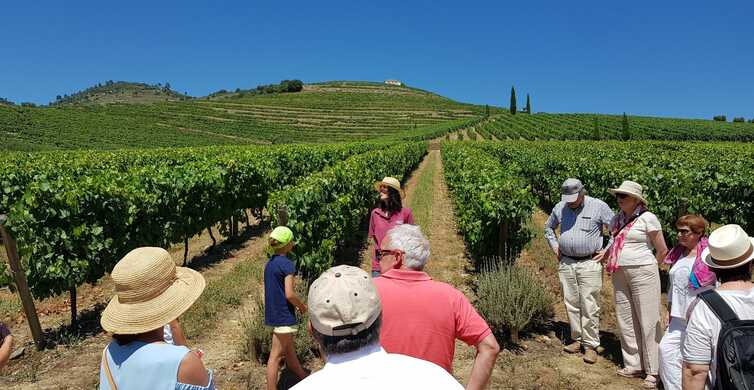 Valle del Duero: tour vinícola, almuerzo y crucero en el río