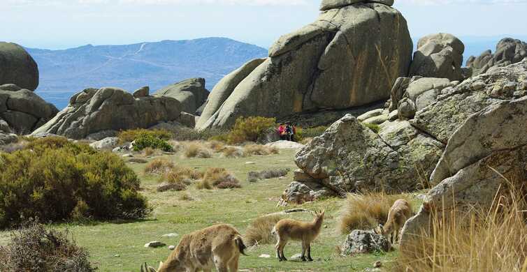 Desde Madrid: excursión de un día a la Sierra de Guadarrama