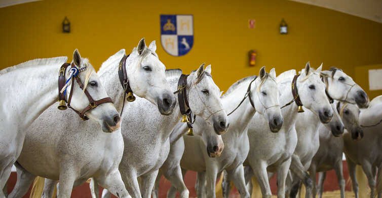 Jerez: tour por la Yeguada de la Cartuja