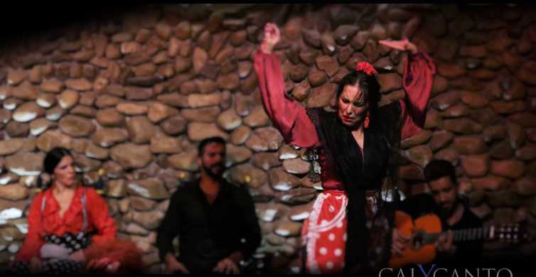 Málaga: entrada al espectáculo de flamenco en vivo