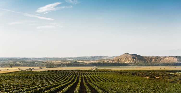 Pamplona: visita a la almazara y bodega de aceite de oliva con almuerzo