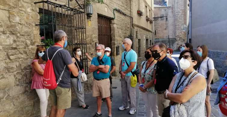 Pamplona: visita guiada a pie
