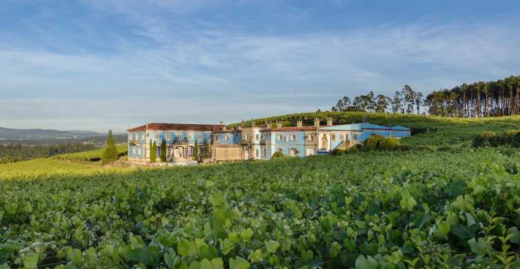 Pontevedra: visita a bodegas Granbazán y degustación