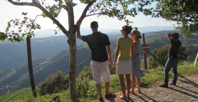 Oporto: tour de 3 viñedos del valle del Duero con almuerzo