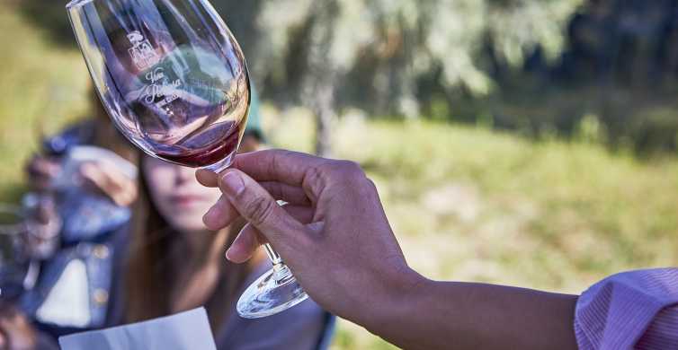 Ribera del Duero: tour de descubrimiento del vino tinto con degustaciones