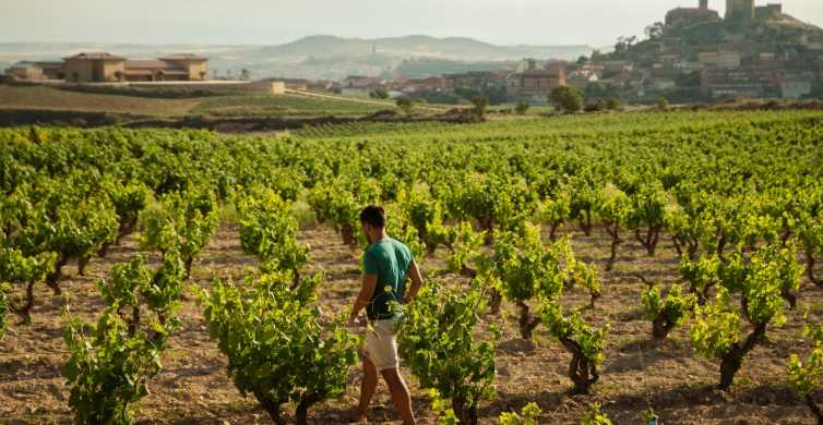 San Sebastián: tour de un día en La Rioja