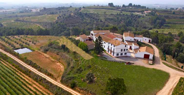 Guardiola de Font-Rubí: tour menú bodega y parrilla