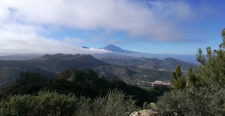 Santa Cruz de Tenerife: 2h de senderismo en el bosque Anaga