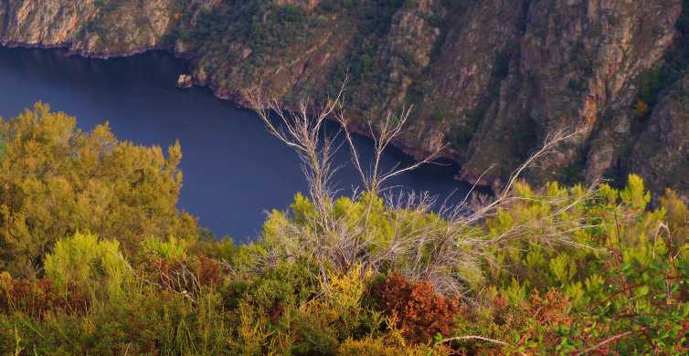 Santiago de Compostela: escapada de un día a Galicia y la Ribeira Sacra