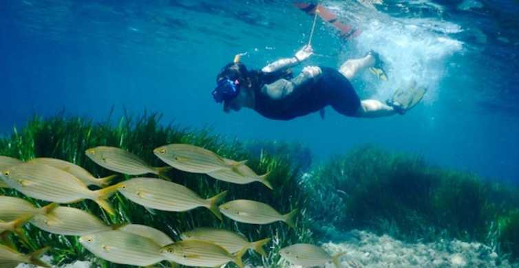 Snorkel Parque Natural Cabo de Gata-Níjar