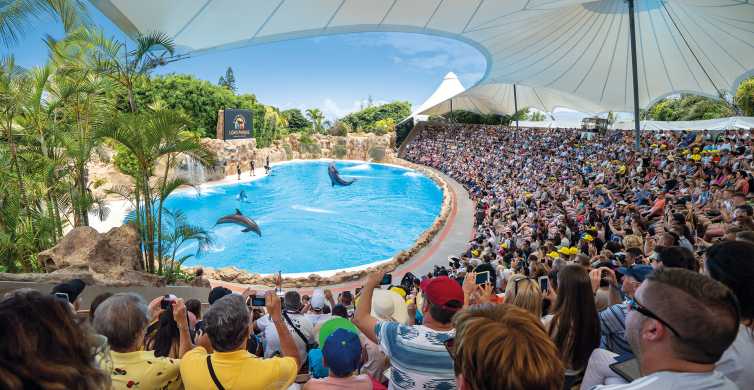 Puerto de la Cruz: ticket a Loro Parque y espectáculos