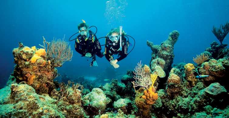 Tossa de Mar: experiencia de buceo para principiantes