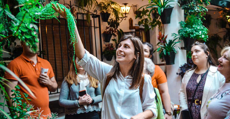 Tour a pie por los patios de Córdoba