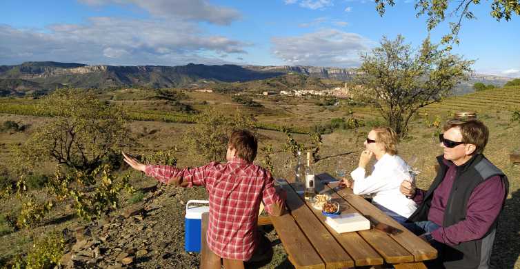 Falset: Visita Guiada del Vino al Priorat por un Local