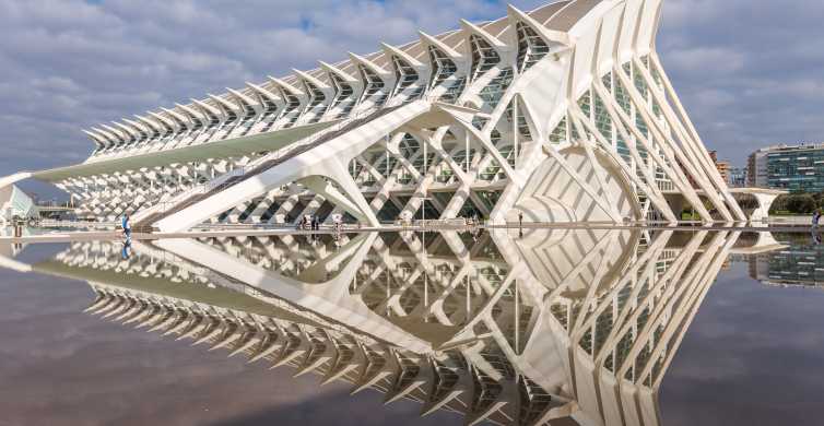 Valencia: Ticket Museo de las Ciencias Principe Felipe