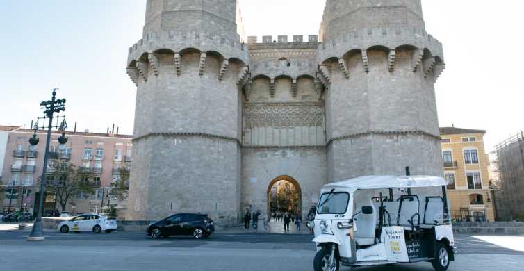 Valencia: tour panorámico privado en tuk-tuk
