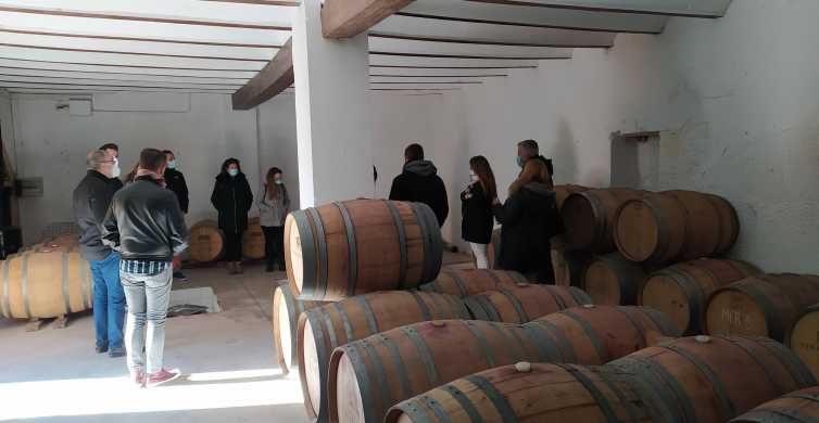 Valencia: visita sorpresa a la bodega con cata de vinos