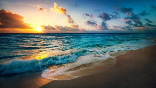 1 Schlafzimmer Ferienwohnung am Strand