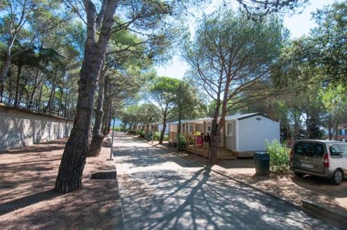 Camping Santa Elena