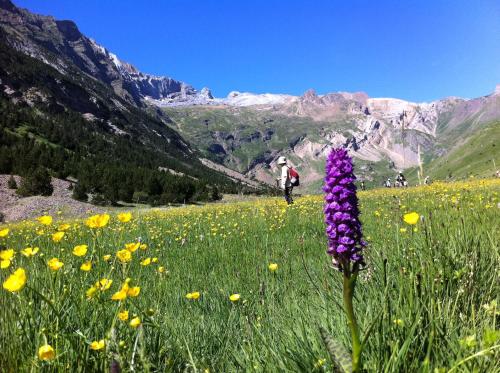 Albergue Monte Perdido