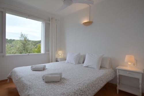 Alconasser 2 - Amazing Seaviews between Deia & Soller