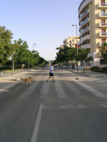 Alojamiento turístico en playa Torre del Mar