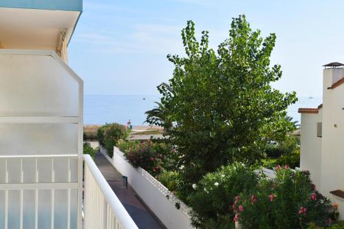 Ap2133 Hipocampo Les Marines