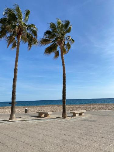 Apartamento 50 metros de la playa, ideal descanso