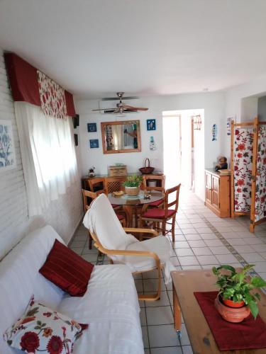 Apartamento delfin verde