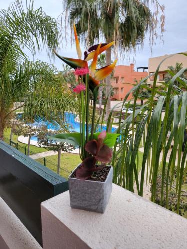 Apartamento exótico en primera línea de Vera-Playa!