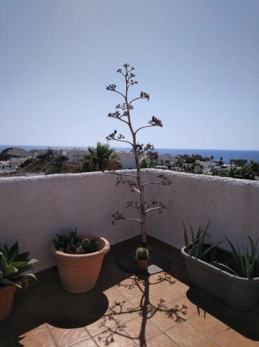 Isleta Apartamento Con Terraza, Vistas Y Wifi