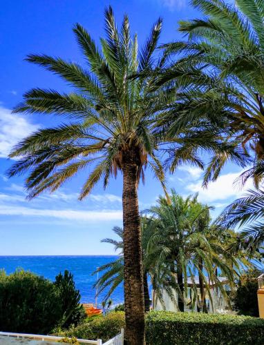 Apartamento final de Las Rotas