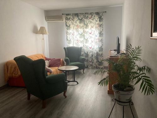 Apartamento Turístico Cervantes 18