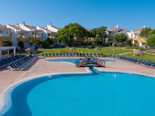 Comitas Isla del Aire