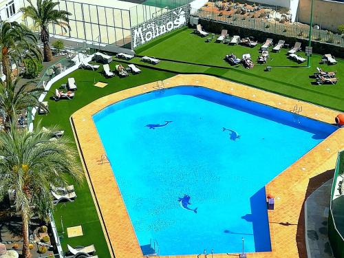 Apartamento en Playa del Inglés Los Molinos 726