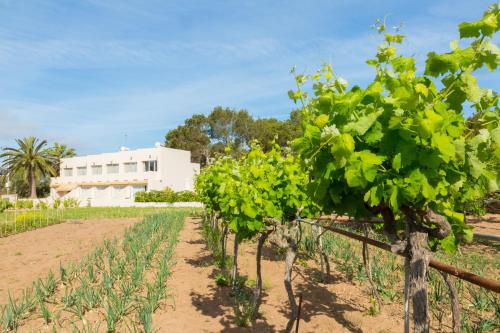 Apartamentos Marcelino - Formentera Break