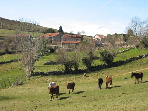 Apartamentos Rurales Colsa